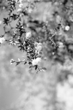 工廠(chǎng)關(guān)閉