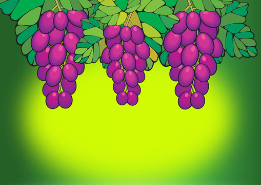 紫葡萄6