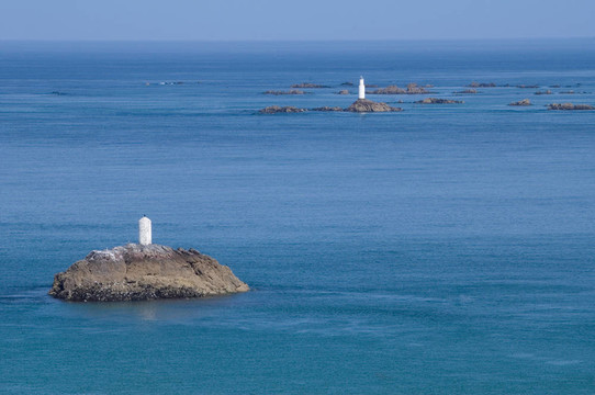 海岸布列塔尼犬