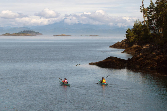 皮劃艇Johnstone Strait