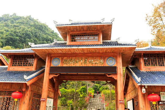 廣西德保 紅葉森林公園