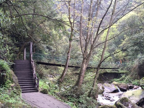 青城山小橋