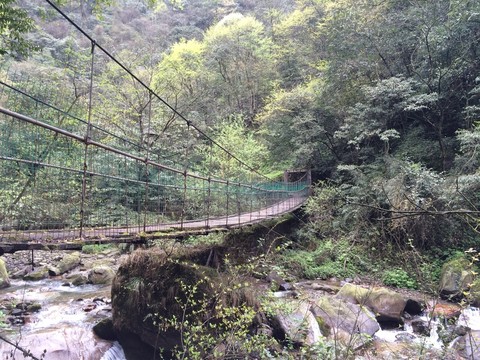 青城山小橋