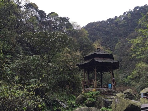 青城山景觀亭