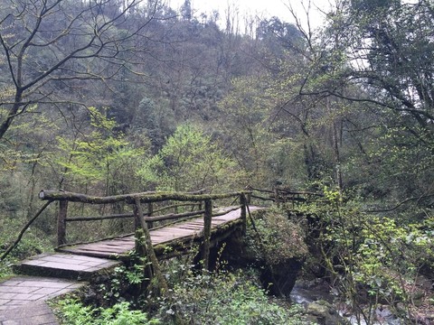 青城山小橋
