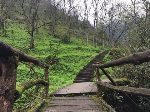 青城山小橋