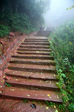 齊云山登山道