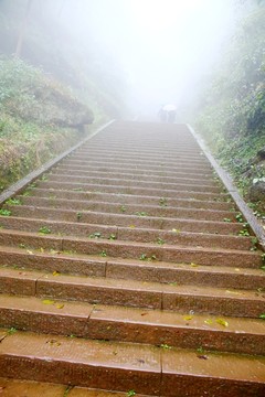 齊云山石階雨霧