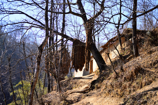 村莊 農(nóng)村
