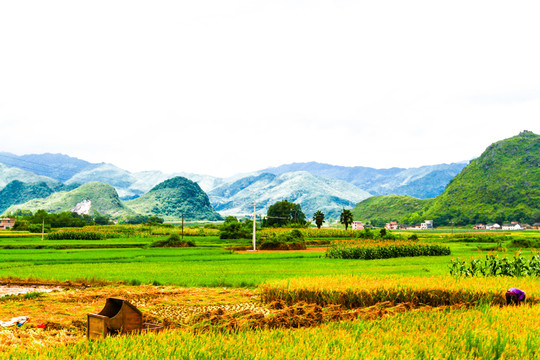 社會(huì)主義新農(nóng)村