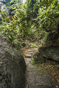 衡山