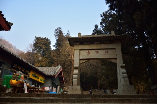 泰山