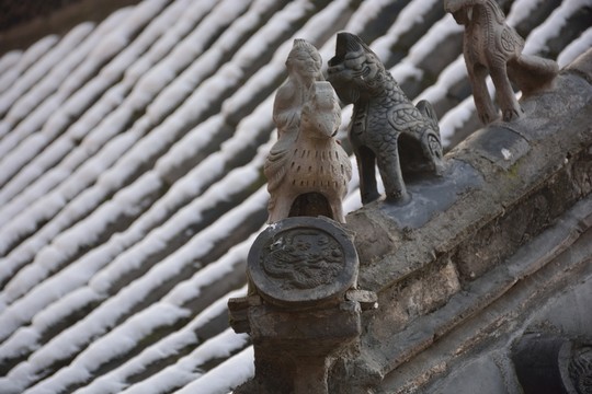 屋頂?shù)难? style=