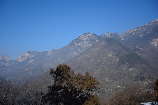 泰山