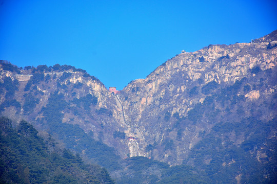 泰山