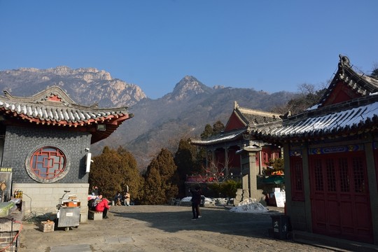 泰山