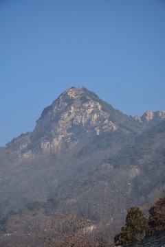 泰山