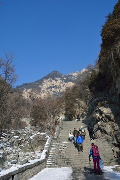 泰山