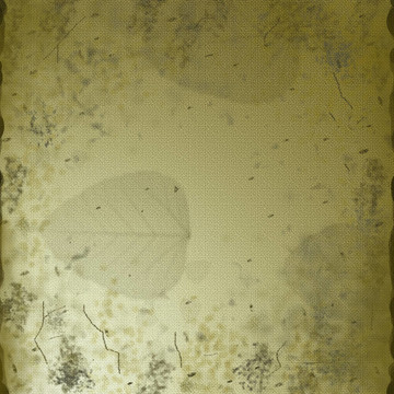 老麻的垃圾