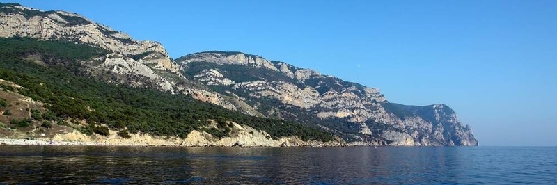 全景。