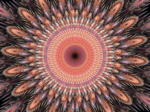 花的背景