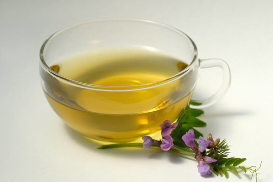 架線蕁麻茶