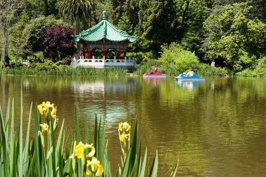 金門公園湖與踏板船