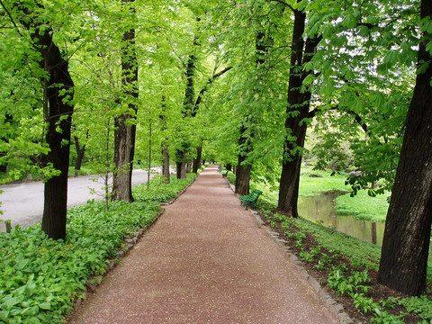 大道公園
