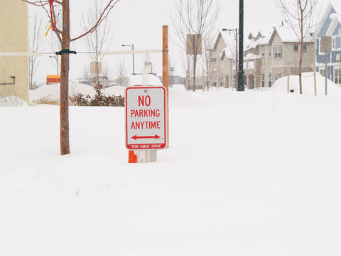 暴雪2006