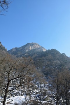 泰山冬日風光