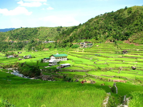 梯田村