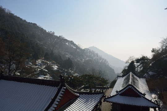 泰山