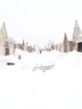 暴雪2006