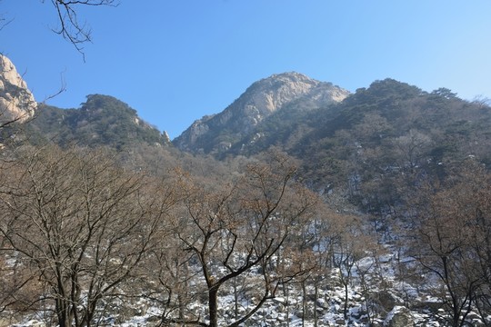 泰山