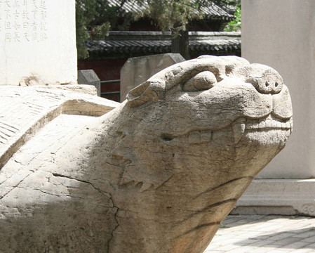 古董石獅子龜