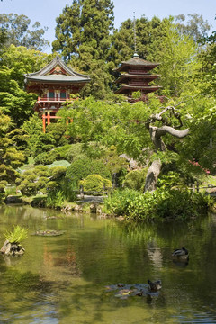 日本花園塔