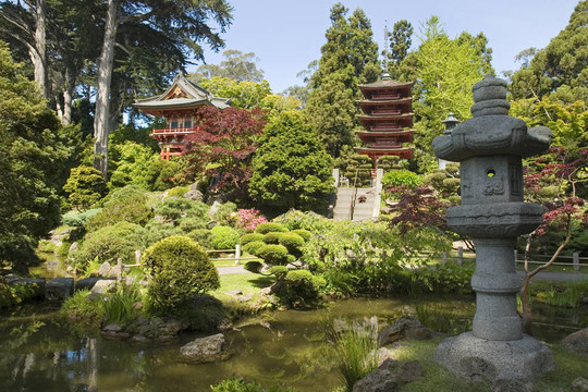 燈籠的日本花園