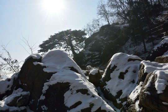 泰山