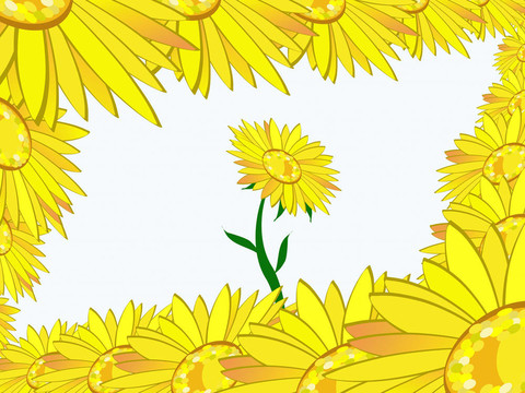 向日葵