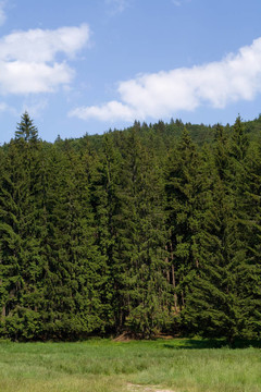 山地景觀