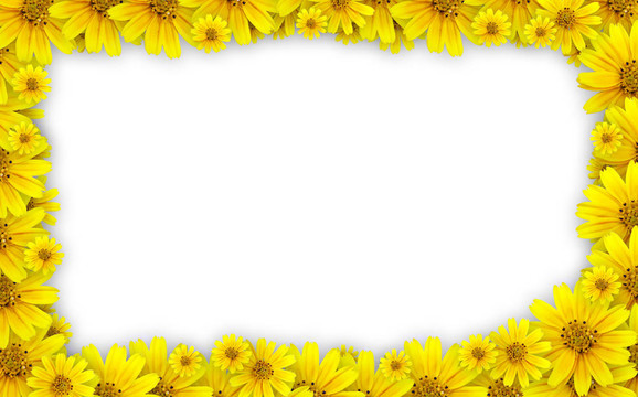 花框