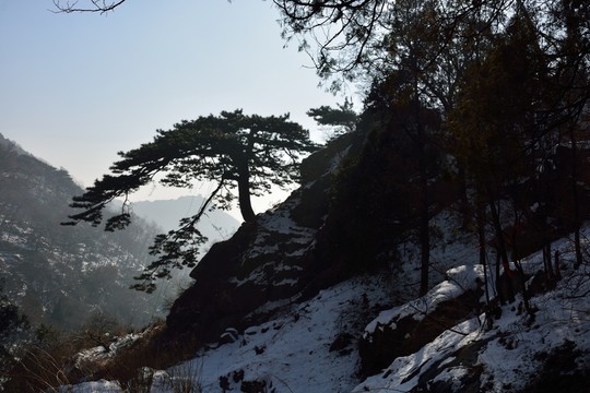 泰山