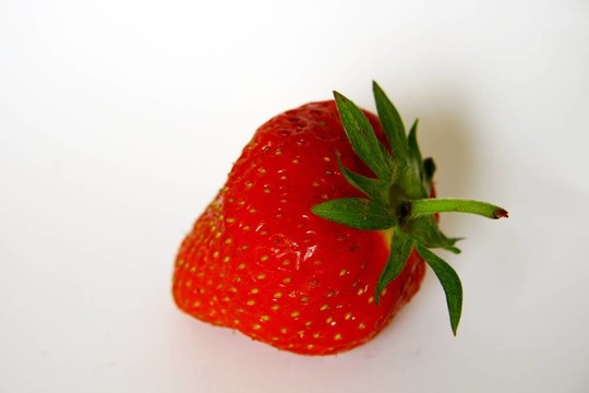 草莓