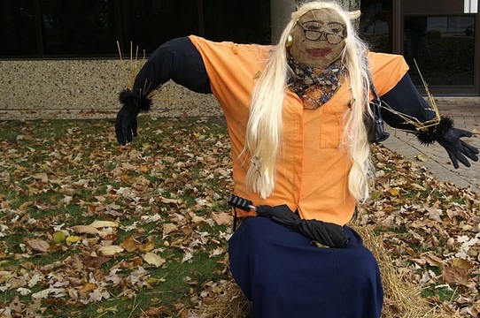 烏鴉夫人