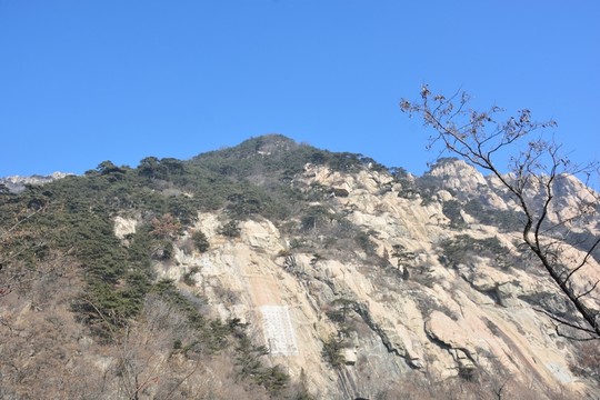 泰山