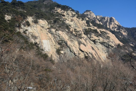 泰山