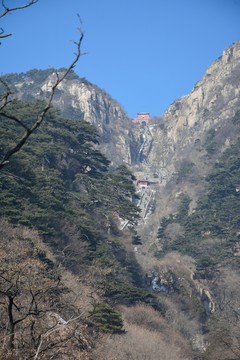 泰山