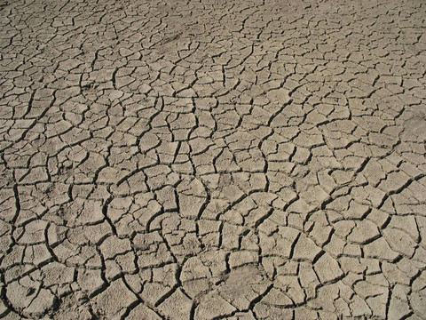 龜裂的土地模式