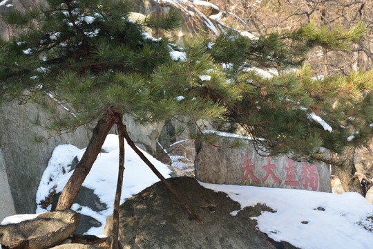泰山石刻