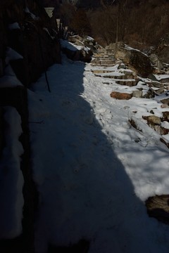 泰山